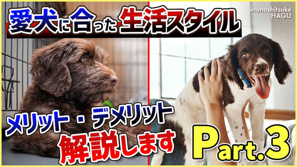 【Part.3 管理方法】飼育環境は1種類じゃない!犬の性格+飼い主の日常に会ったベストな生活スタイルを見つけよう!