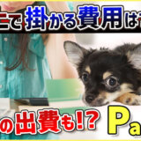 【Part.6 お金】ワンちゃんの購入は計画的に!飼い続けるうえで費用が掛かる要因はたくさんあります!