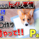 【Part.2 トイレ】しつけが必須!?ワンちゃんの排せつ事情の真実!