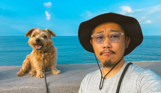 10周年【ノーフォークテリア】Webデザイナー雪丸崇一さん愛犬バズと暮らす鎌倉生活