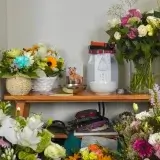 【ノーフォークテリア】Webデザイナー雪丸崇一さん愛犬バズと暮らす鎌倉生活