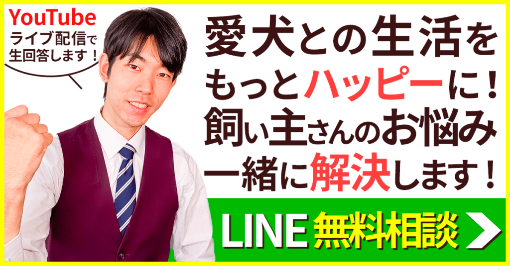 犬のしつけハグLIVE無料相談はライブ配信で返信致します！ 文京区 犬のしつけ教室 ドッグトレーナー おやつなしのしつけ