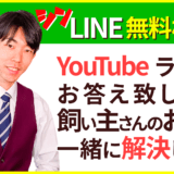 犬のしつけハグLIVE無料相談はライブ配信で返信致します! 文京区 犬のしつけ教室 ドッグトレーナー おやつなしのしつけ