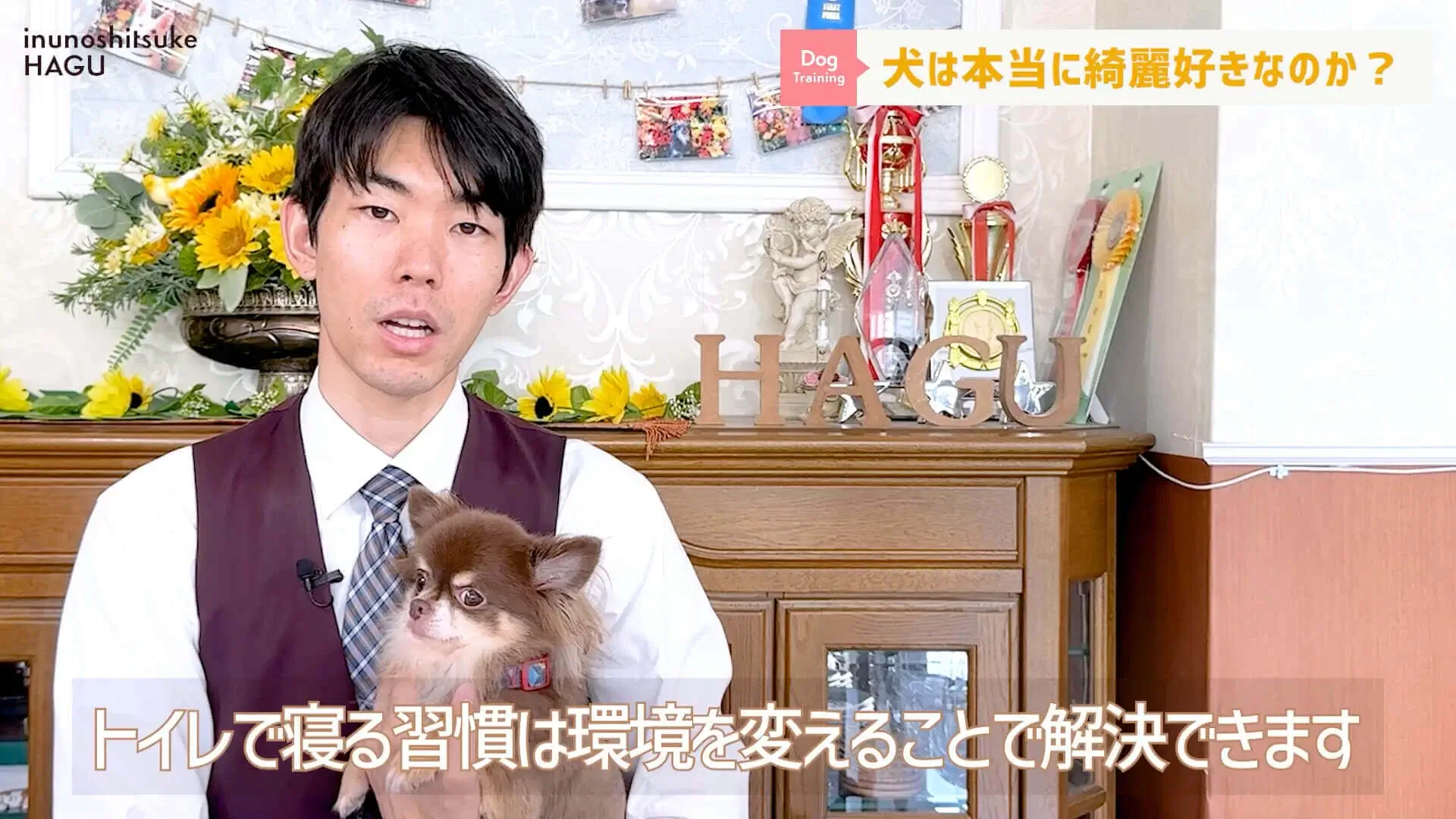 Q：わんちゃんがきれい好きって聞いたけど本当？A：〇〇です！【ドッグトレーナー解説】東京都 文京区 犬のしつけ教室 ドッグトレーナー おやつなしのしつけ 犬のしつけハグ ＨＡＧＵ合同会社