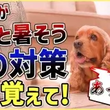 【注意】室内でも油断大敵！わんちゃんが火照ってる時の対処法３選 文京区 犬のしつけ教室 ドッグトレーナー おやつなしのしつけ 犬のしつけハグ ＨＡＧＵ合同会社