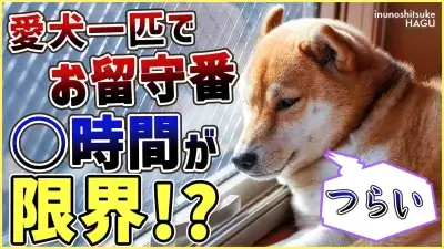ワンちゃんって何時間お留守番できる？意外と知らない情報を解説！東京都 文京区 犬のしつけ教室 ドッグトレーナー おやつなしのしつけ 犬のしつけハグ ＨＡＧＵ合同会社
