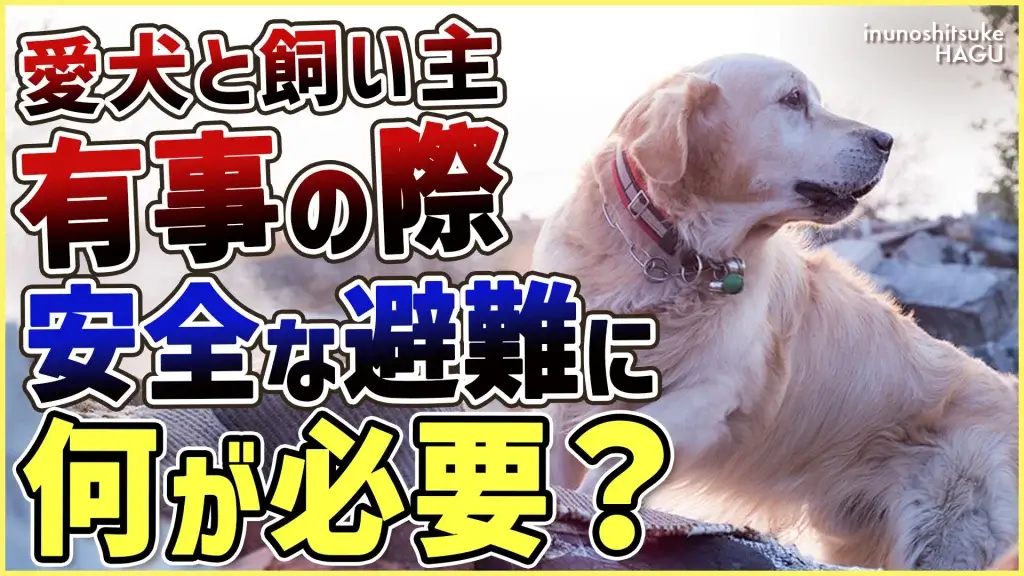 【注意喚起】災害はいつ来てもおかしくない！愛犬と自分を守るための災害対策法