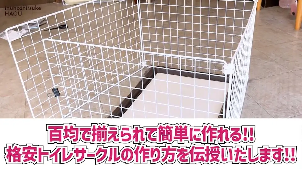 【犬 DIY】百円ショップで用意できる！ドッグトレーナー愛用のトイレサークル作成方法を伝授！