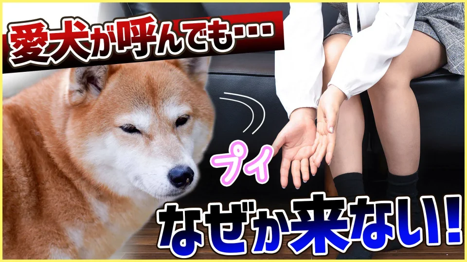 063703725bc27e78d23ecaa9e97479