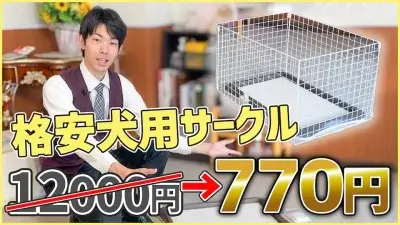 【犬 DIY】百円ショップで用意できる！ドッグトレーナー愛用のトイレサークル作成方法を伝授！
