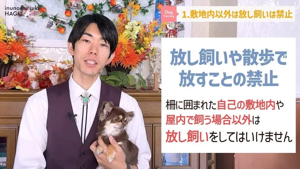 【飼い主になる前に】わんちゃんを飼いたい人が絶対に覚えてい無くてはいけない6つのルール【解説】