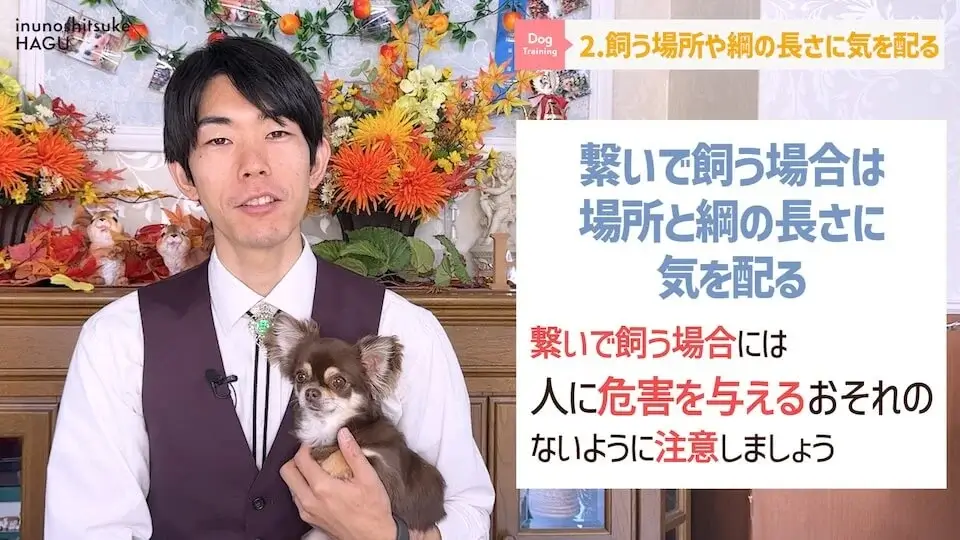 【飼い主になる前に】わんちゃんを飼いたい人が絶対に覚えてい無くてはいけない6つのルール【解説】