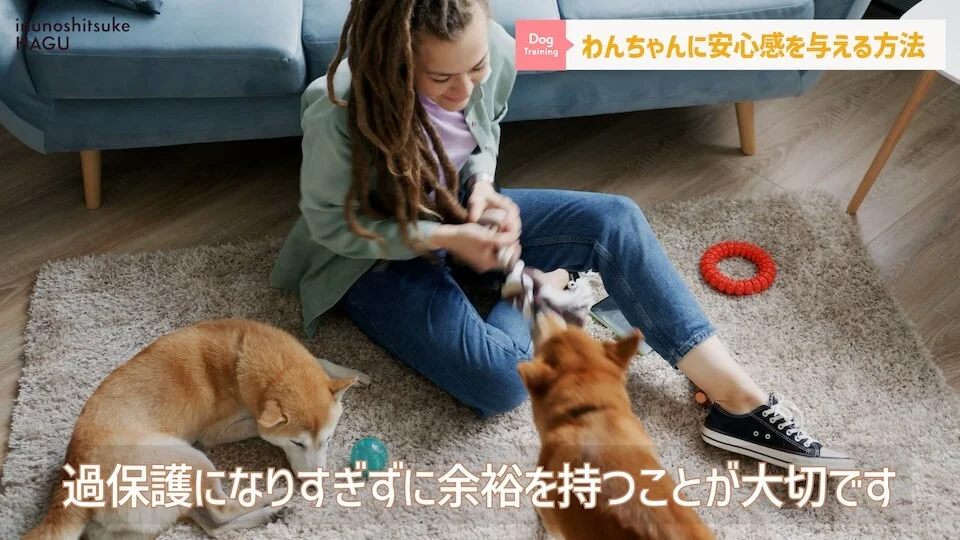 【犬　旅行】引越しや避難で愛犬が挙動不審！新しい環境に慣れる手助けをする方法【解説】