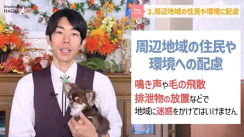 【飼い主になる前に】わんちゃんを飼いたい人が絶対に覚えてい無くてはいけない6つのルール【解説】