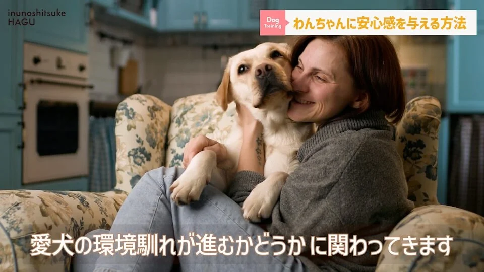 【犬　旅行】引越しや避難で愛犬が挙動不審！新しい環境に慣れる手助けをする方法【解説】