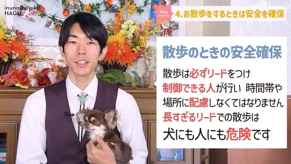 【飼い主になる前に】わんちゃんを飼いたい人が絶対に覚えてい無くてはいけない6つのルール【解説】