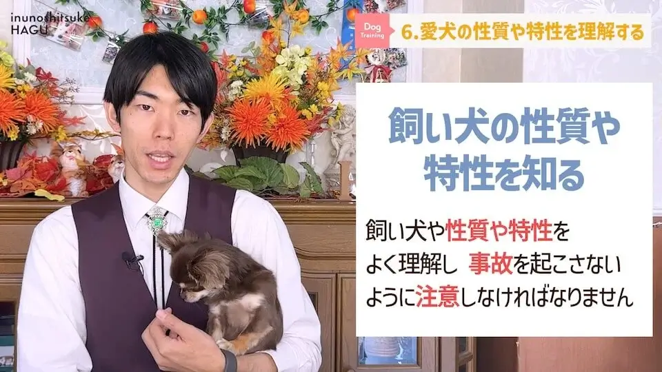 【飼い主になる前に】わんちゃんを飼いたい人が絶対に覚えてい無くてはいけない6つのルール【解説】