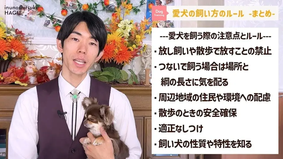 【飼い主になる前に】わんちゃんを飼いたい人が絶対に覚えてい無くてはいけない6つのルール【解説】