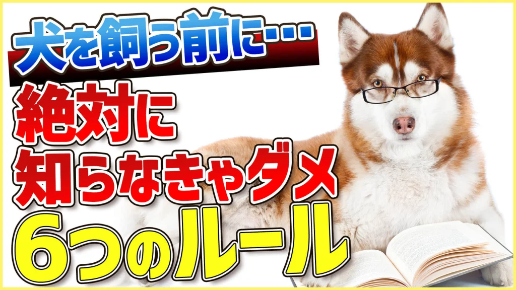 【飼い主になる前に】わんちゃんを飼いたい人が絶対に覚えてい無くてはいけない6つのルール【解説】