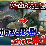【犬 質問】Q「ゲームみたいにわんちゃんって恩返しする?」プロドッグトレーナーに素朴な質問を答えてもらおう!