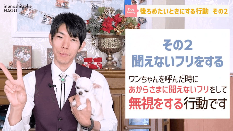 【反省】わんちゃんが後ろめたい時やりがちな行動5選【＃犬のいるくらし】