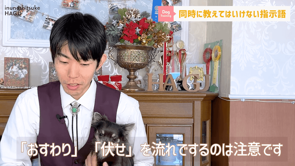 【紛らわしい指示語？！】同時に教えると愛犬が混乱する指示用語！【解説】