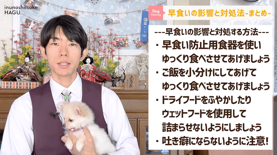 【ドッグフードの早食い】愛犬がフードを喉に詰まらせる！ドッグトレーナー視点での解決法を伝授！