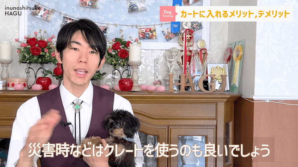 ワンちゃん用カートを使うメリットって何？「〇〇の時にオススメ！」