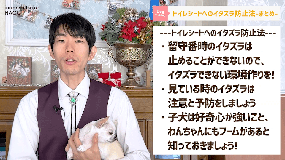 帰ってきたらトイレがあらされている！トイレシートへのイタズラ対策解説！