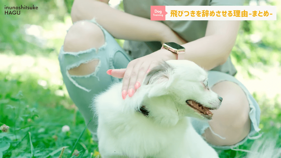 愛犬の飛びつき行動…！どうして止めなければいけないのかプロドッグトレーナーが解説！