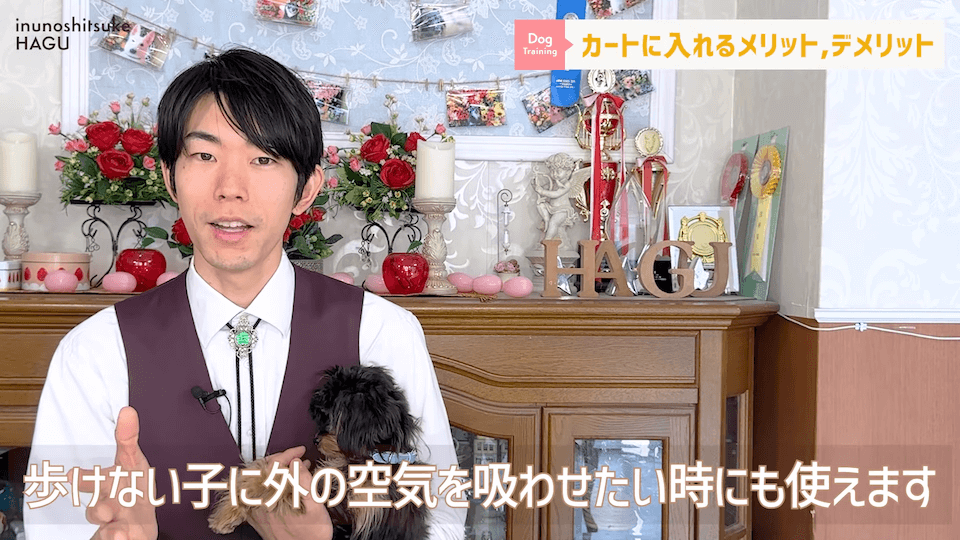 ワンちゃん用カートを使うメリットって何？「〇〇の時にオススメ！」