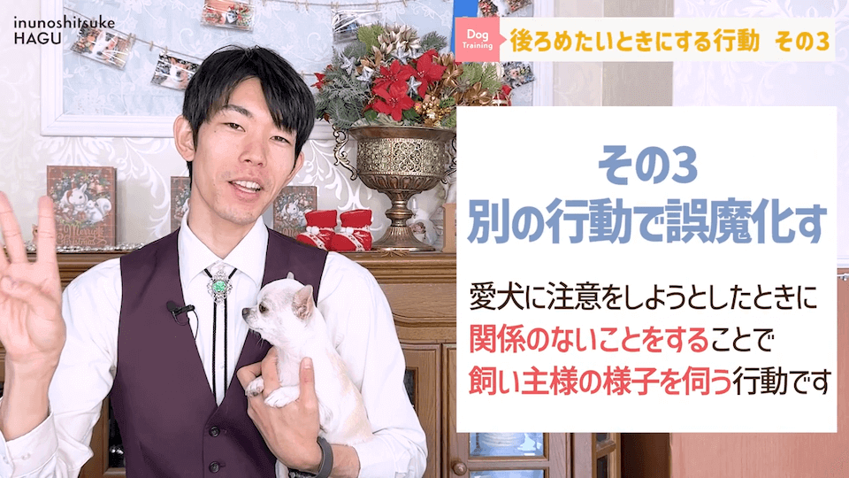 【反省】わんちゃんが後ろめたい時やりがちな行動5選【＃犬のいるくらし】