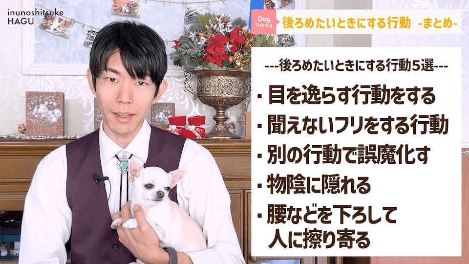 【反省】わんちゃんが後ろめたい時やりがちな行動5選【＃犬のいるくらし】