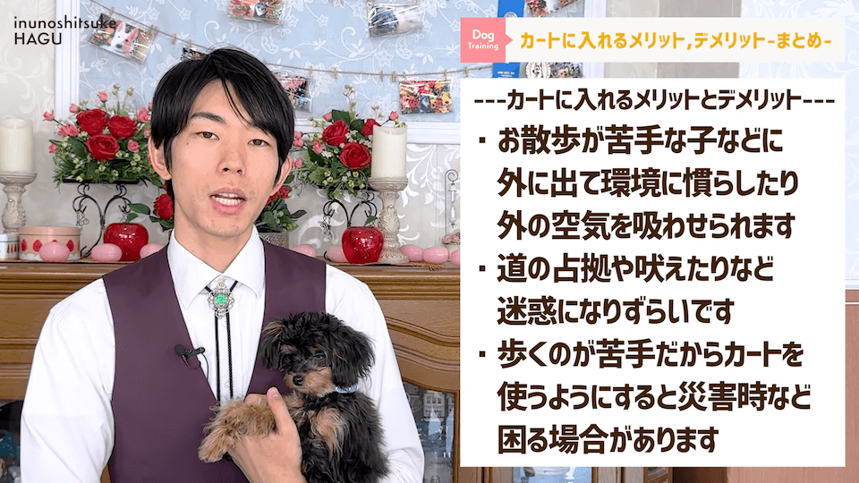 ワンちゃん用カートを使うメリットって何？「〇〇の時にオススメ！」