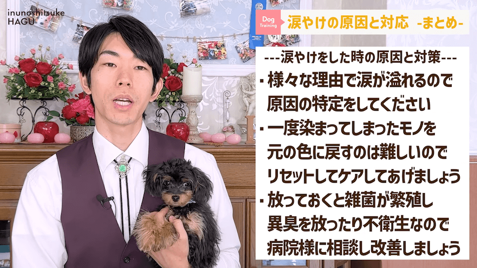 【犬　涙やけ】愛犬の目元が黒ずんでいる…？放っておくと大変な事になるかも！！！