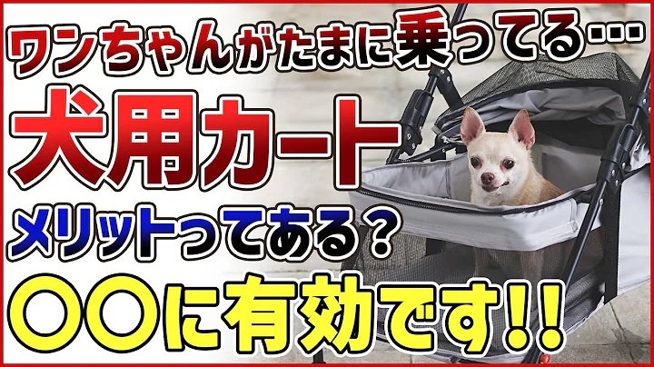 ワンちゃん用カートを使うメリットって何？「〇〇の時にオススメ！」
