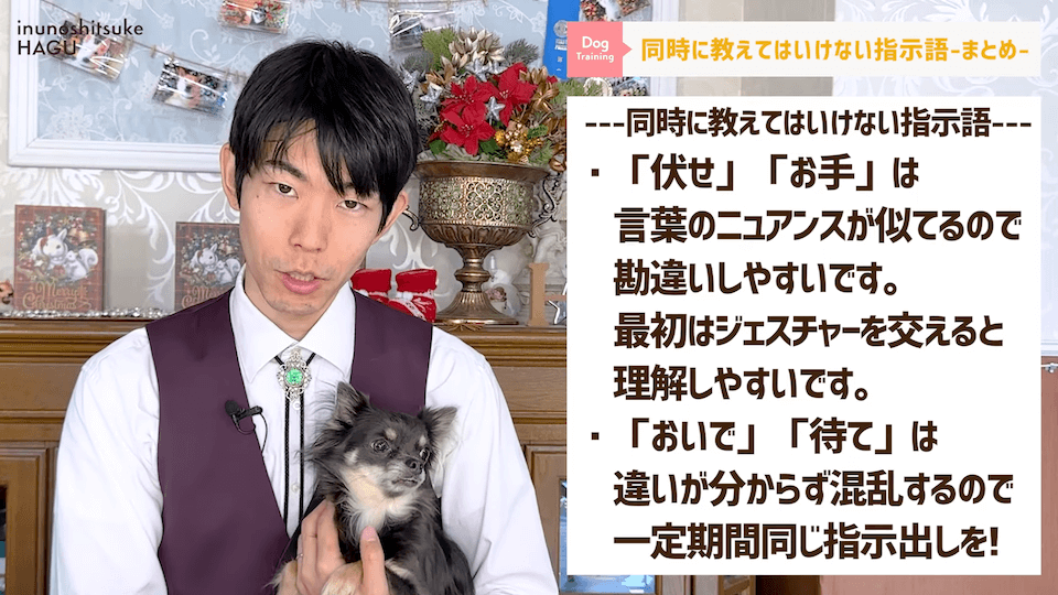 【反省】わんちゃんが後ろめたい時やりがちな行動5選【＃犬のいるくらし】