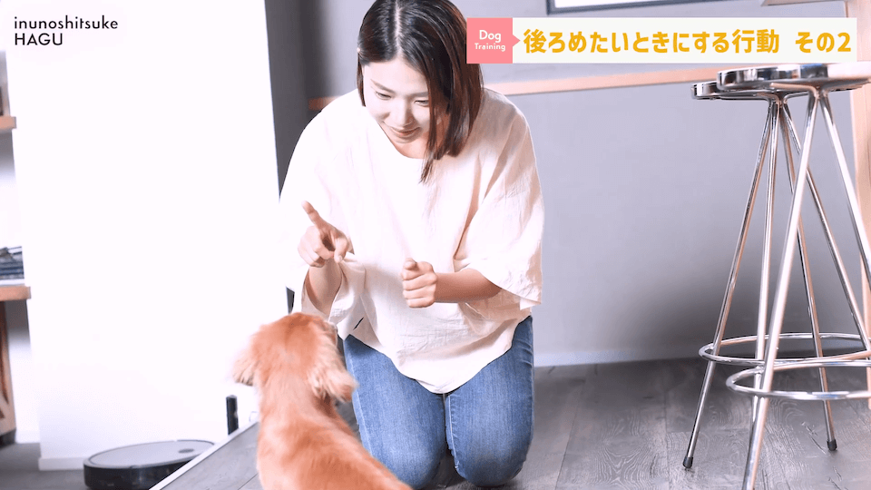 【反省】わんちゃんが後ろめたい時やりがちな行動5選【＃犬のいるくらし】