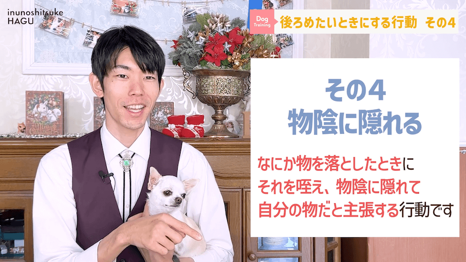 【反省】わんちゃんが後ろめたい時やりがちな行動5選【＃犬のいるくらし】