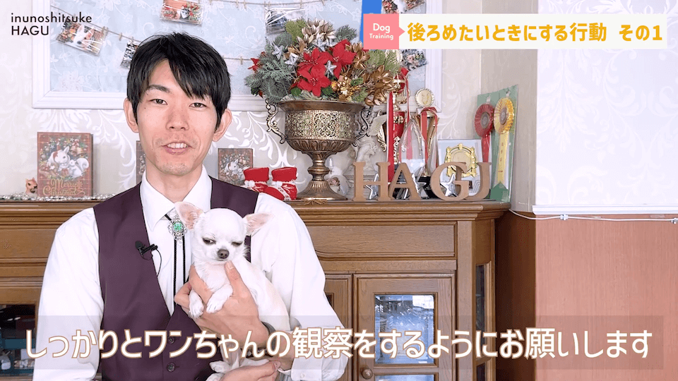 【反省】わんちゃんが後ろめたい時やりがちな行動5選【＃犬のいるくらし】