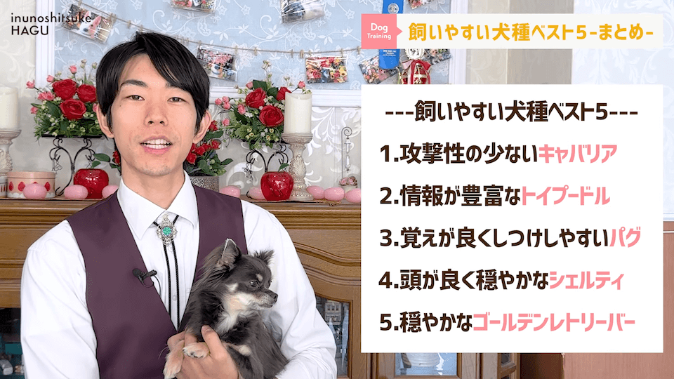 プロドッグトレーナーが選ぶ！「飼いやすい犬種トップ５」１位は意外な犬種？！