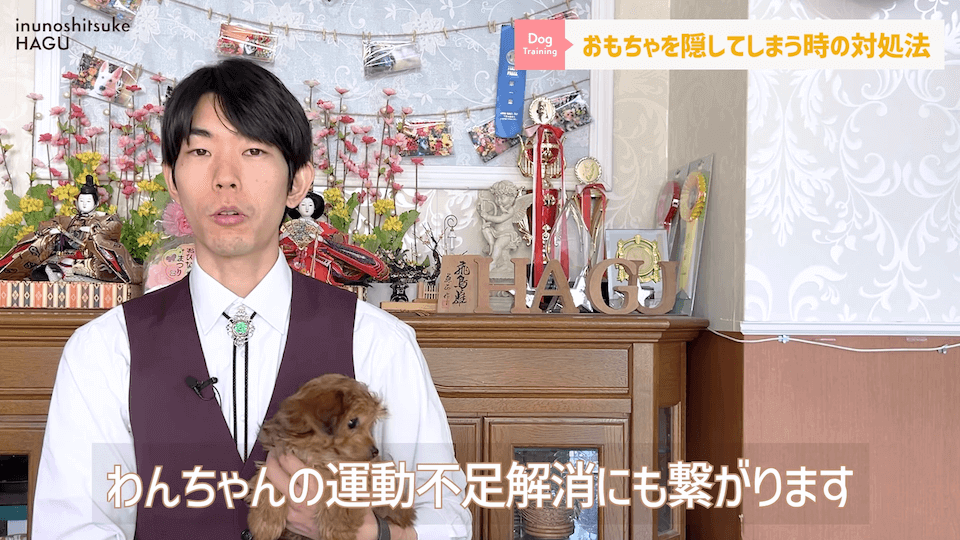 愛犬がおもちゃを奪って逃げちゃう！その行動…〇〇をしているせいかもしれません！