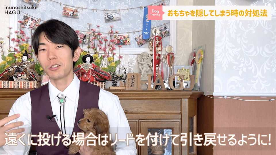 愛犬がおもちゃを奪って逃げちゃう！その行動…〇〇をしているせいかもしれません！