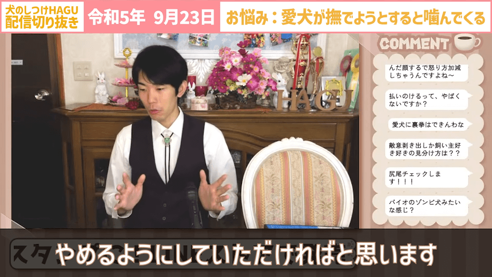 【切り抜き】撫でようとするだけで噛みつかれる！どうすればいい？#dogtraining #犬のいる生活 #犬のしつけ