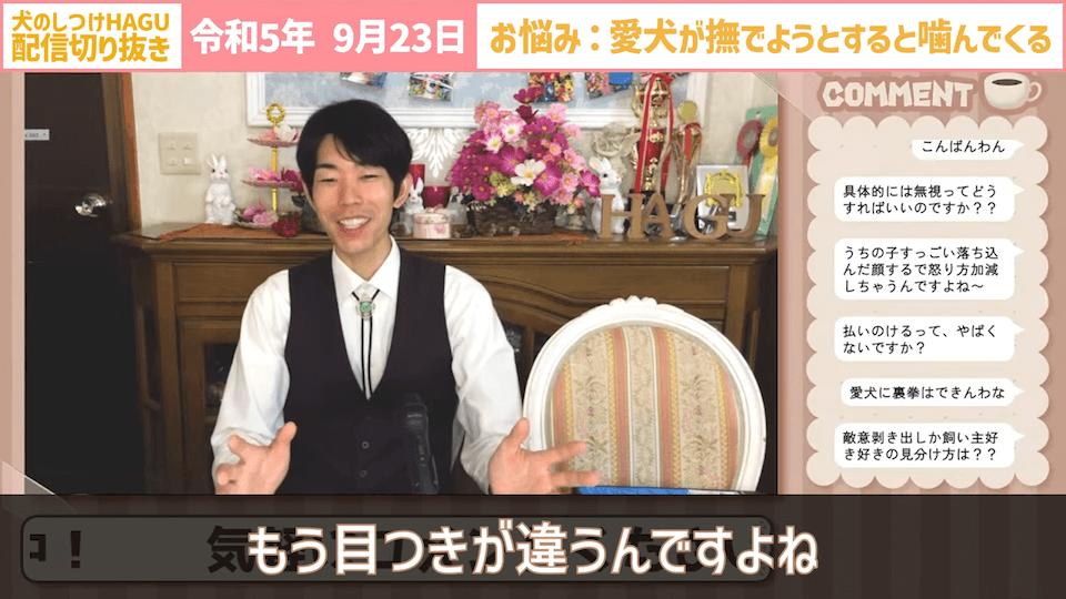 【切り抜き】撫でようとするだけで噛みつかれる！どうすればいい？#dogtraining #犬のいる生活 #犬のしつけ