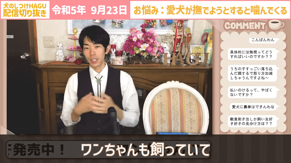 【切り抜き】撫でようとするだけで噛みつかれる！どうすればいい？#dogtraining #犬のいる生活 #犬のしつけ