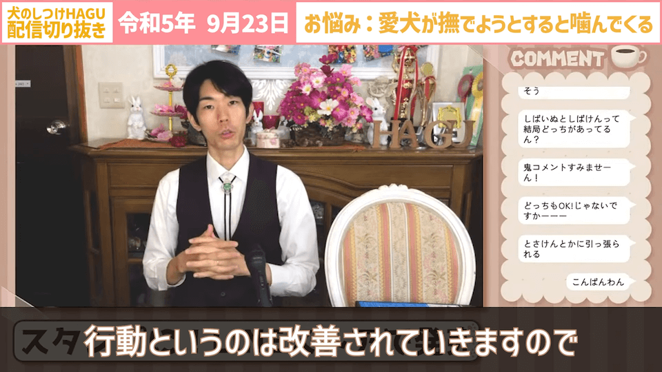 【切り抜き】撫でようとするだけで噛みつかれる！どうすればいい？#dogtraining #犬のいる生活 #犬のしつけ