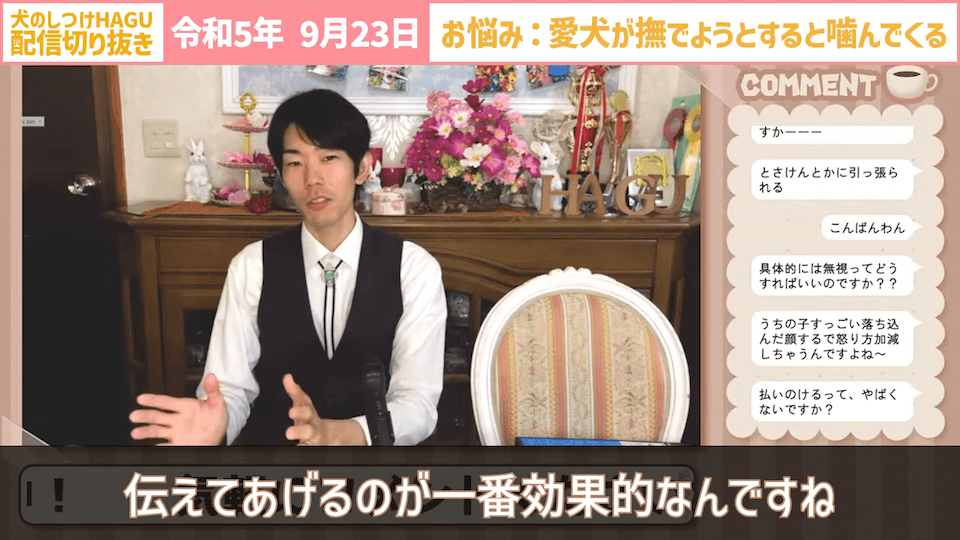 【切り抜き】撫でようとするだけで噛みつかれる！どうすればいい？#dogtraining #犬のいる生活 #犬のしつけ