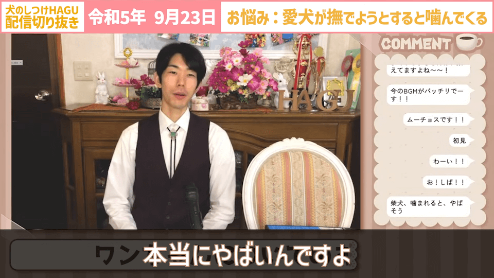 【切り抜き】撫でようとするだけで噛みつかれる！どうすればいい？#dogtraining #犬のいる生活 #犬のしつけ