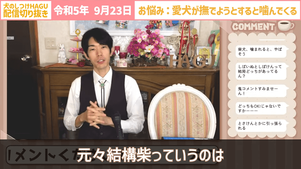 【切り抜き】撫でようとするだけで噛みつかれる！どうすればいい？#dogtraining #犬のいる生活 #犬のしつけ